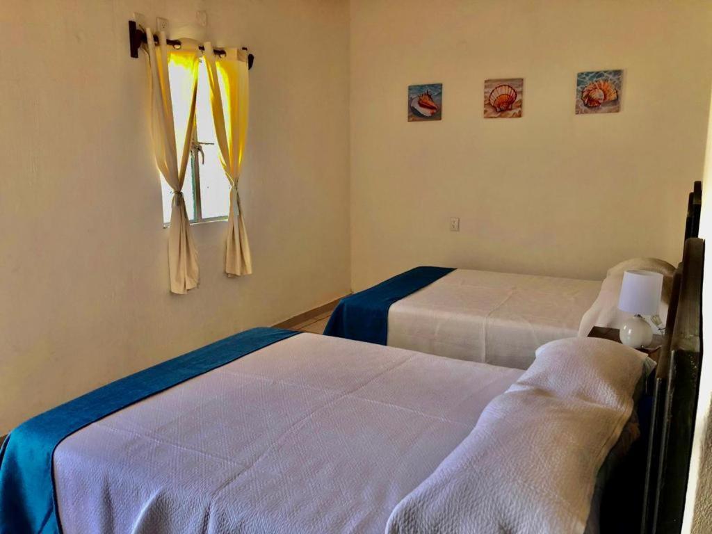 פניטה דה חלטמבה La Pucca Hotel Boutique Resort מראה חיצוני תמונה