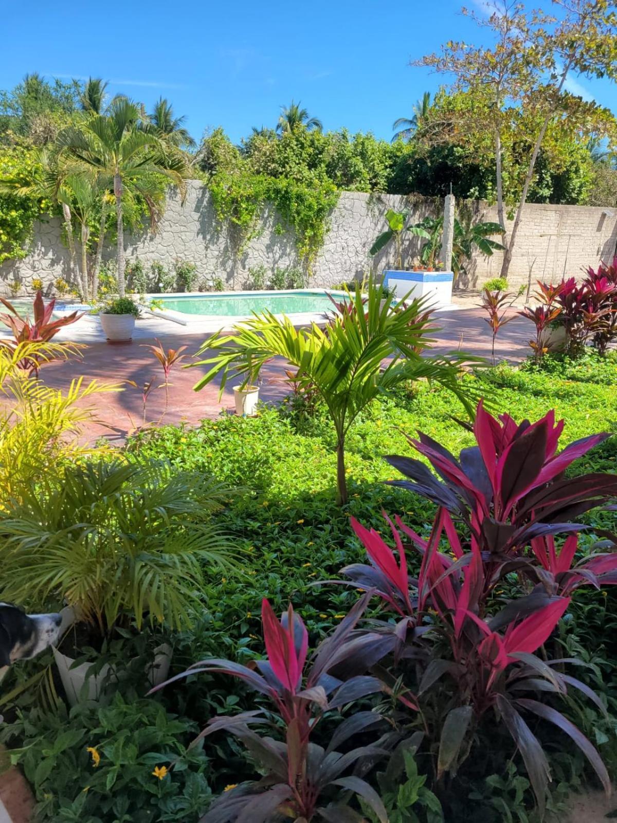 פניטה דה חלטמבה La Pucca Hotel Boutique Resort מראה חיצוני תמונה