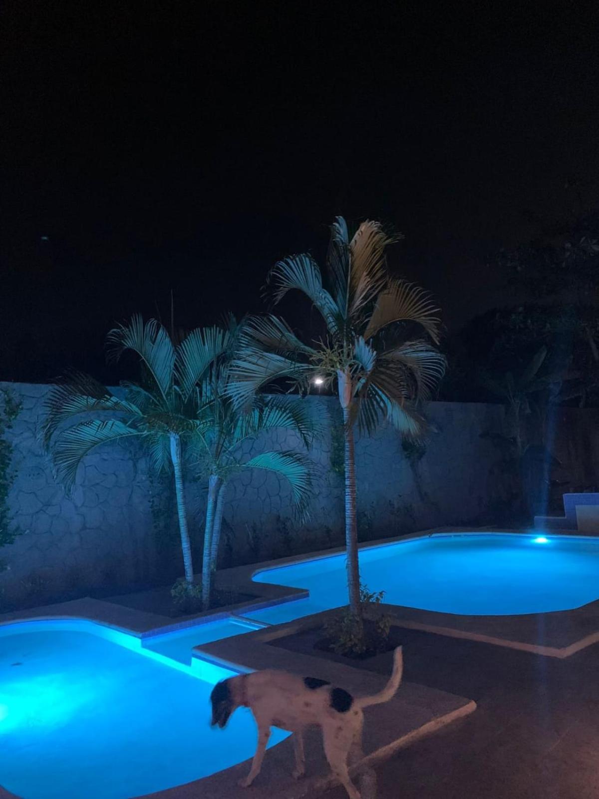פניטה דה חלטמבה La Pucca Hotel Boutique Resort מראה חיצוני תמונה